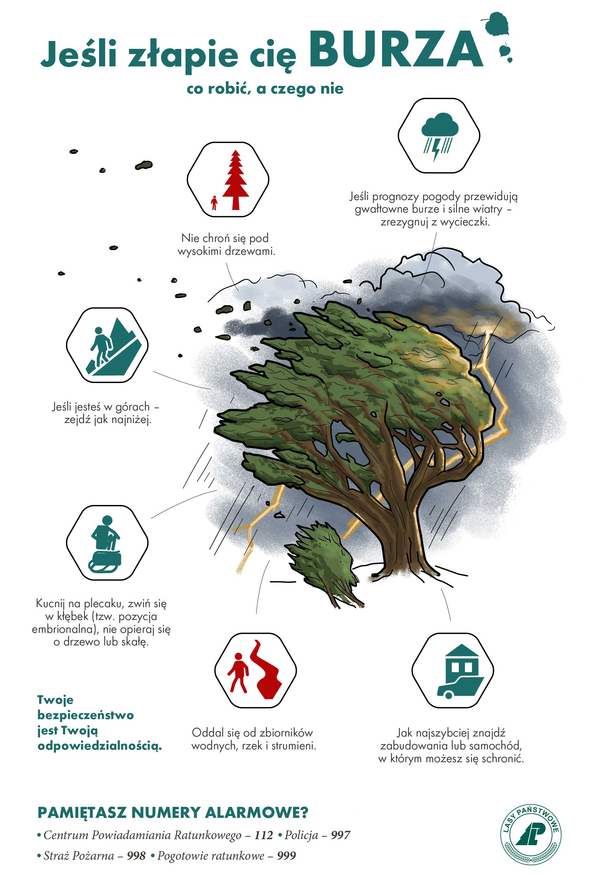 Zdjęcie przedstawia: infografikę, jak zachować sie w lesie podczas burzy.